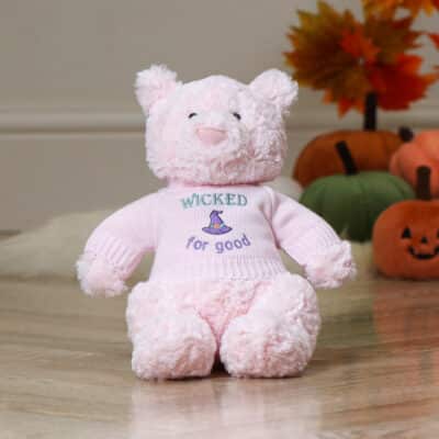 Halloween ‘Wicked For Good’ Jumpers to fit Jellycat, Keel, Steiff, Mood Bears, Care Bears medium 31cm soft toys Halloween Gifts 3