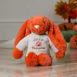 Halloween ‘Hello Pumpkin’ Jumpers to fit Jellycat, Keel, Steiff, Mood Bears, Care Bears medium 31cm soft toys Halloween Gifts 5