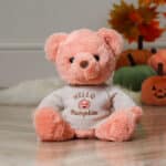 Halloween ‘Hello Pumpkin’ Jumpers to fit Jellycat, Keel, Steiff, Mood Bears, Care Bears medium 31cm soft toys Halloween Gifts 7