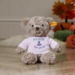 Halloween ‘Wicked For Good’ Jumpers to fit Jellycat, Keel, Steiff, Mood Bears, Care Bears medium 31cm soft toys Halloween Gifts 7