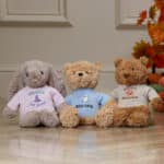 Halloween ‘Boo-tiful’ Jumpers to fit Jellycat, Keel, Steiff, Mood Bears, Care Bears medium 31cm soft toys Halloween Gifts 8