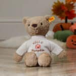 Halloween ‘Hello Pumpkin’ Jumpers to fit Jellycat, Keel, Steiff, Mood Bears, Care Bears medium 31cm soft toys Halloween Gifts 8