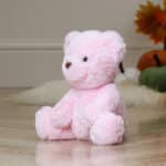 Halloween Aurora Gelato ‘Wicked For Good’ Teddy Bear Soft Toy Aurora 8
